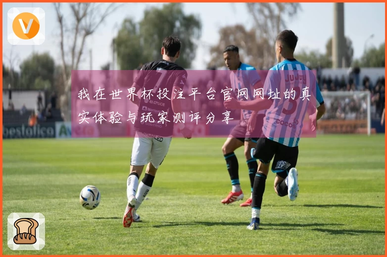 我在世界杯投注平台官网网址的真实体验与玩家测评分享