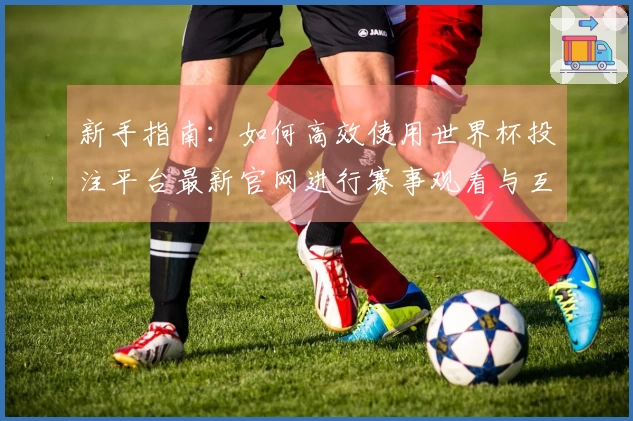 新手指南：如何高效使用世界杯投注平台最新官网进行赛事观看与互动